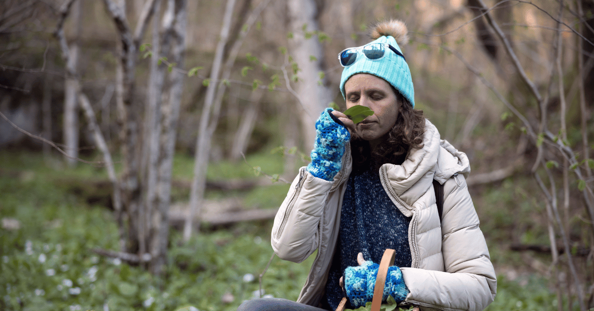 How to Identify Wild Edible Plants for Survival