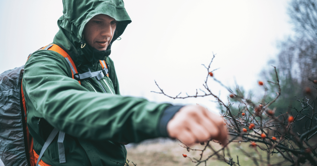 Best long-term survival foods for emergency preparedness.