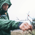 Best Long-Term Survival Foods & How to Store Them