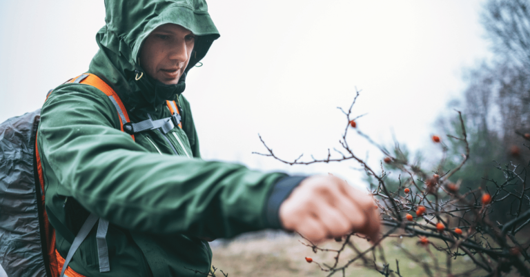 Best Long-Term Survival Foods & How to Store Them
