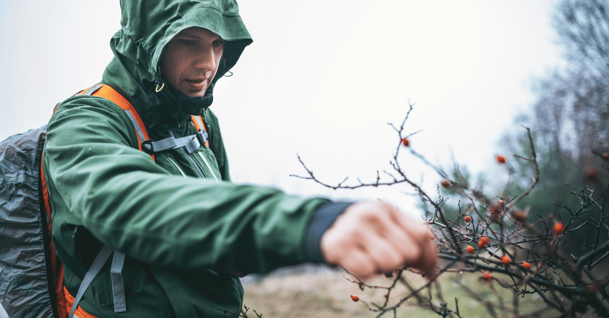 Best Long-Term Survival Foods & How to Store Them