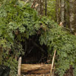 Essential Wilderness Survival Tips: How to Stay Safe in the Wild