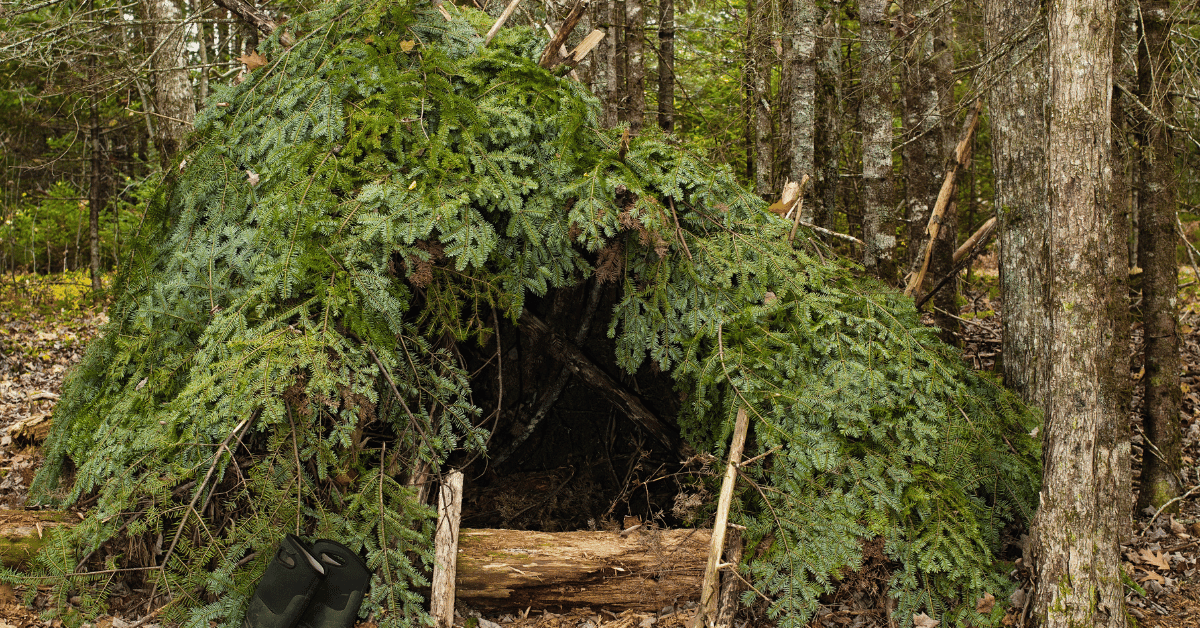 Essential Wilderness Survival Tips: How to Stay Safe in the Wild
